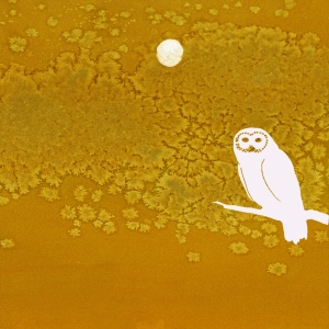 Per filo e per segno